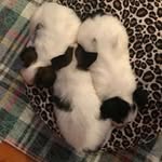 Kathy Mims - @designbuildgal25 - Instagram