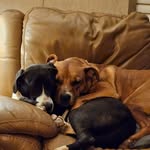 Kathy Mims Clements - @kathyjclements - Instagram