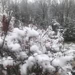 Kathy Needham Gerow - @gerow869 - Instagram