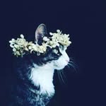 Kathryn Nutt - @musicandmagic4ever - Instagram