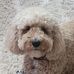 Kathryn Padgett - Facebook