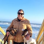 Kathryn Padgett - @kpadgettdvm - Instagram