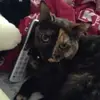 Kathryn Passalacqua - @kathrynpassalacqu - TikTok