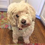 Kathy Resch - @wacky_kaky - Instagram