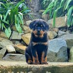 Kathryn Roach - @kathryn.king.779 - Instagram