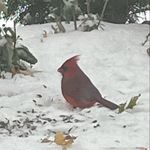 Kathryn Roach Langham - @silly_gramma - Instagram