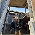 Kathrin Ritter - Facebook