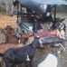 Kathryn Saylor - Facebook