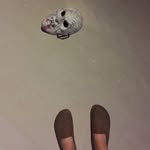 Kathryn Scanlan - @k_scanlan_ - Instagram
