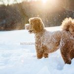 Kathryn schauer - @kathrynschauerphotography - Instagram