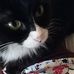 Kathryn Schauf - Facebook