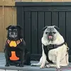 Kathy Scheidt - @kathy.scheidt - TikTok