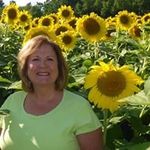 Kathy Schlueter Ashburn - @schlueterashburn - Instagram