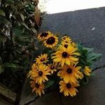 Kathryn Self - @kathryn.self.56 - Instagram
