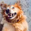 kathryn.sharp - @kathryn.sharp - TikTok