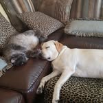 Kathy Spratt - @spratt.kathy - Instagram