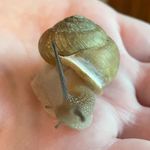 Kathryn Springer - @_a_jack_of_all_trades_ - Instagram