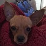Kathryn Strang - @gatorgirl917 - Instagram