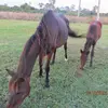 Kathy Vance - @kathy.vance4 - TikTok