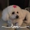 Kathy Vance - @kathyvance1 - TikTok