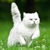 Kathryn Watterson - Facebook