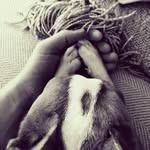 Kathryn Watterson - @rouxsroost - Instagram