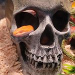 Kathy Weiland - @kathyweiland75 - Instagram