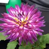Kathy Weiland - @kathy.weiland - TikTok
