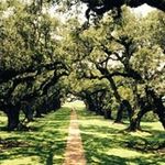 Kathy Bringardner Abrams - @k_bringardnerabrams - Instagram
