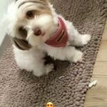 Kathy Abreu - @kathy_abreux_x - Instagram