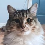 Kathy Acker Holmes - @kackerholmes - Instagram