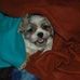 Kathy Ahern - Facebook