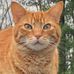 Kathy Ahern - Facebook