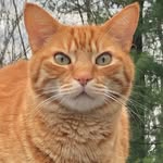 Kathy Ahern - @kathy.ahern.1028 - Instagram