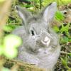 Kathy Allgood631 - @kathyallgood - TikTok