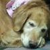 Kathy Altieri - Facebook