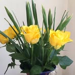 Kathy Amis - Facebook
