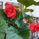 Kathy Ammons - @ammons5988 - Instagram