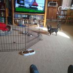 Kathy Amon - Facebook