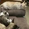 Kathy Ann - @kathy.ann13 - TikTok