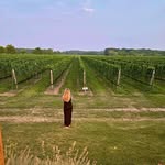 Kathy Ann Falbo - @kathy_bedellwineli - Instagram