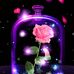 Kathy Antus - Facebook