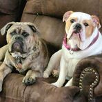 Kathy Mawhinney Appel - Facebook