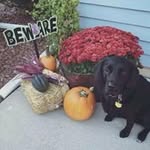 Kathy Applebee - @kathyapplebee - Instagram