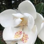 Kathy Appling - @kathy.appling.7 - Instagram
