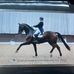 Katy Applin Dressage - Facebook