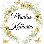 Kathy Aranda - @plantas_katherine - Instagram