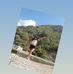 Kathy Aranda - Facebook