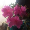 kathyaranda8 - @kathyaranda8 - TikTok