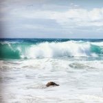 Kathy Archer - @cabarita_beach_naturopath - Instagram
